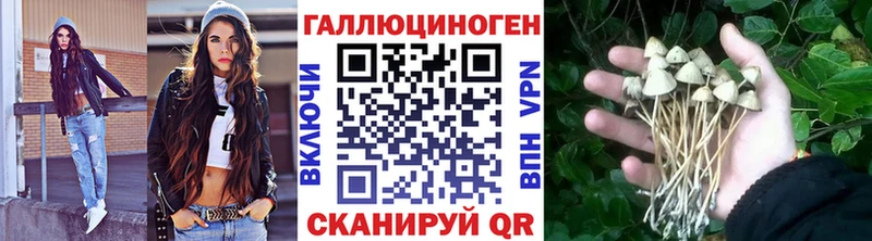 Купить  Кузнецк  Галлюциногенные грибы мухоморы 